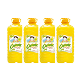 DETERGENTE LIQUIDO CARISMA 4/3.785LT CJ