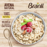 AVENA NATURAL BRANLI 24/400GR CJ