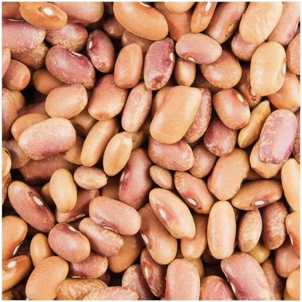 Caja de 20 piezas de 900GR c/u Frijol Flor De Mayo Verde Valle
