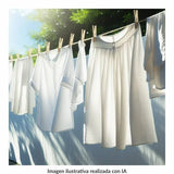 DETERGENTE LIQUIDO BLANCA NIEVES 12/1LT CJ